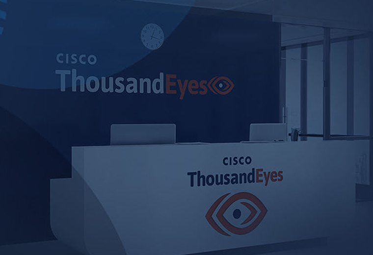 ThousandEyes case study preview